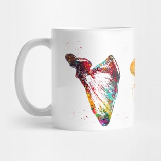 Scapula and Clavicle Mug